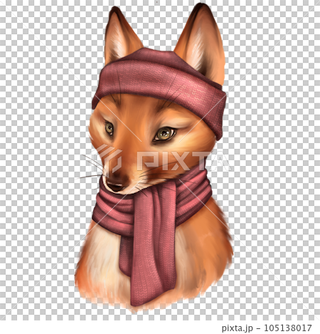 Fox in a pink knitted hat and scarf. Cute animal portrait illustration. 105138017