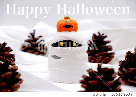 ハロウィンのお化けの白いイメージ ハロウィンのお化けの白いイメージ 105138035