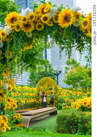 大名古屋ビルヂング、都心のひまわり庭園〈愛知県名古屋市〉 105138209