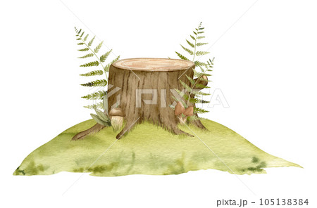 Mossy Stump with green Fern. Watercolor hand drawn illustration of forest environment isolated on white background. Drawing of Woodland with mushrooms and green plants on a lawn. Sketch of landscape. 105138384