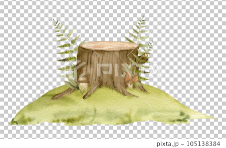 Mossy Stump with green Fern. Watercolor hand drawn illustration of forest environment isolated on white background. Drawing of Woodland with mushrooms and green plants on a lawn. Sketch of landscape. 105138384