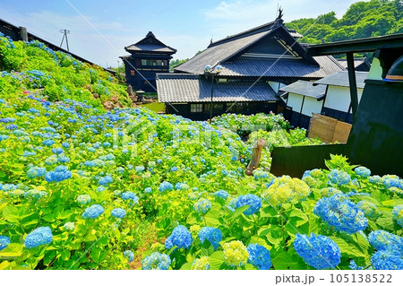 にしん御殿 旧青山別邸 小樽貴賓館　あじさい庭園 105138522