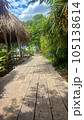 Wooden walkway in tropical garden, Thailand 105138614