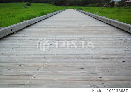やまなみハイウェイ沿い、長者原(ちょうじゃばる)に広がるタデ原湿原の木道の散策道 やまなみハイウェイ沿い、長者原(ちょうじゃばる)に広がるタデ原湿原の木道の散策道 105138887