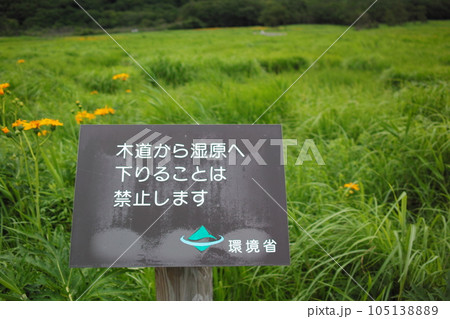 「木道から湿原へ下りることは禁止します」の看板 105138889