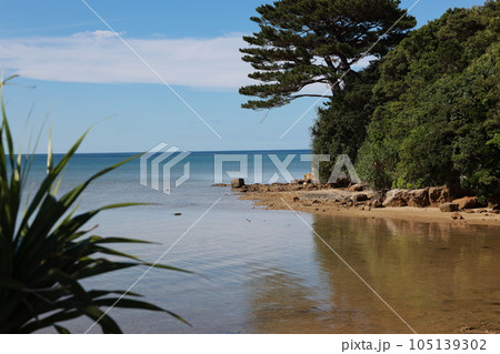 西表島の湾 105139302