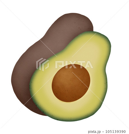 Avocado fruit watercolor  105139390