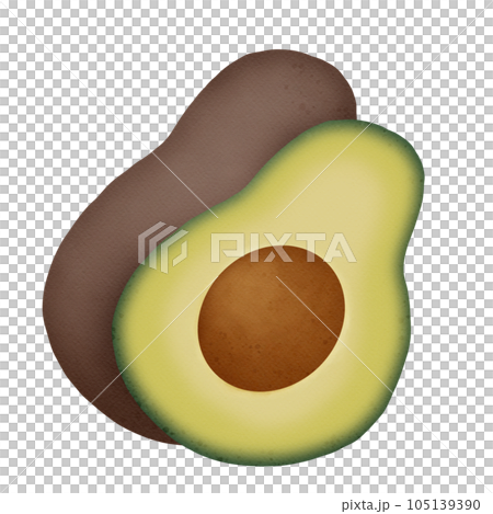 Avocado fruit watercolor  105139390
