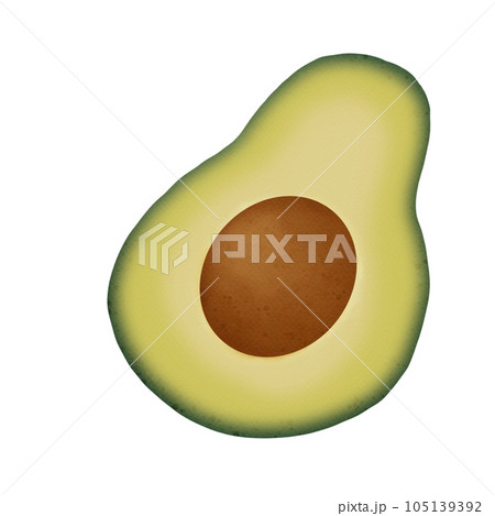 Avocado fruit watercolor Avocado fruit watercolor 105139392