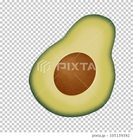Avocado fruit watercolor Avocado fruit watercolor 105139392