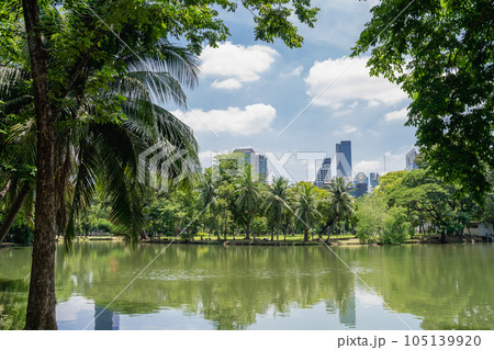 Lumpini Park green forest lake in Bangkok, Thailand Lumpini Park green forest lake in Bangkok, Thailand 105139920
