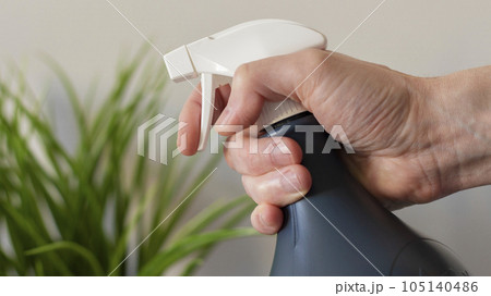 Hand with a spray bottle for flowers Hand with a spray bottle for flowers 105140486