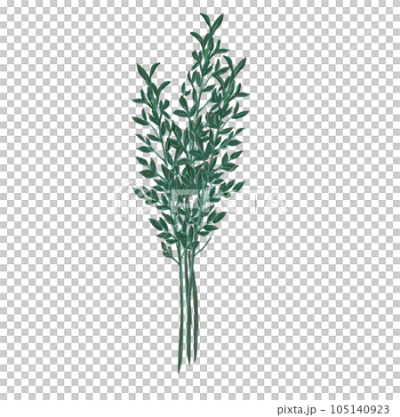 Herb leaf 105140923