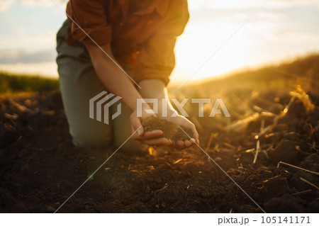 Woman farmer's hand touch soil, check its health before growing vegetables. Concept of agriculture. 105141171
