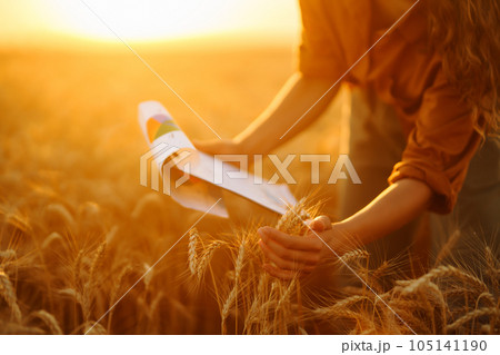Farm owner with tablet in her hands in wheat field checks quality, progress of harvest. Smart farm Farm owner with tablet in her hands in wheat field checks quality, progress of harvest. Smart farm 105141190