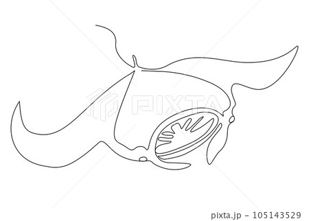 Manta ray.Continuous one line drawing. Vector illustration Manta ray.Continuous one line drawing. Vector illustration 105143529