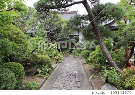 光照寺　境内（神奈川県鎌倉市山ノ内） 105143670