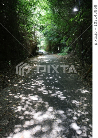 亀ケ谷坂切通 105143969