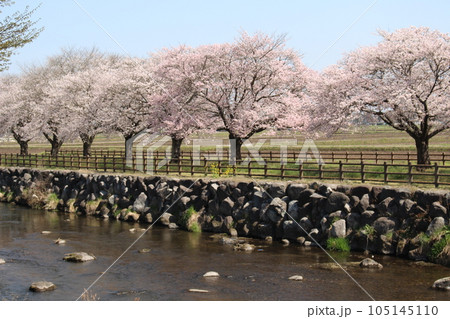 野元川親水公園 105145110
