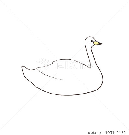 横を向く白鳥のイラスト 105145123