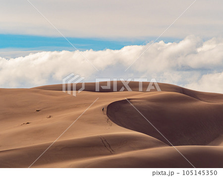 Sunny view of the landscape of Great Sand Dunes National Park and Preserve 105145350