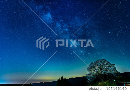 岡山 醍醐桜 ~星景~ 岡山 醍醐桜 ~星景~ 105146140