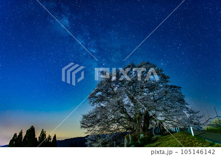 岡山 醍醐桜 ~星景~ 岡山 醍醐桜 ~星景~ 105146142