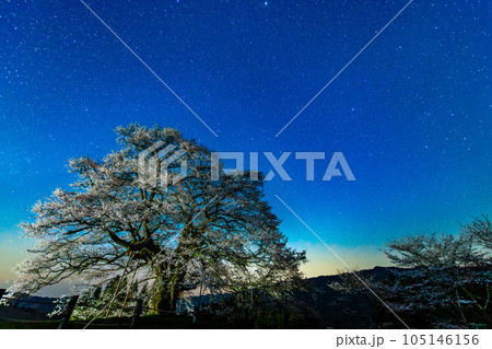 岡山 醍醐桜　～星景～ 105146156