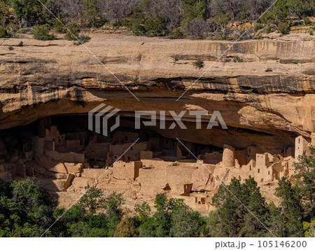 Sunny view of the historical Cliff Palace in Mesa Verde National Park 105146200