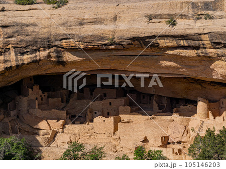 Sunny view of the historical Cliff Palace in Mesa Verde National Park 105146203