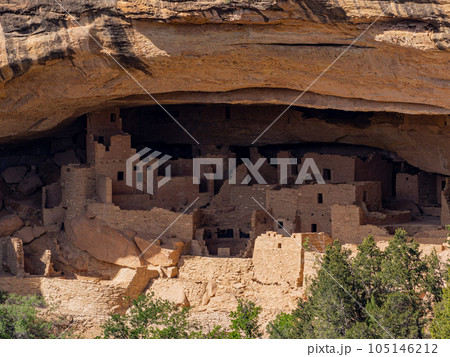 Sunny view of the historical Cliff Palace in Mesa Verde National Park Sunny view of the historical Cliff Palace in Mesa Verde National Park 105146212
