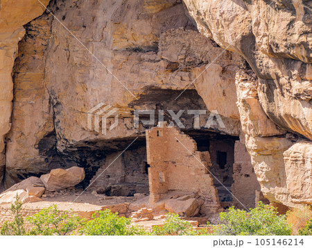 Sunny view of the historical ruins in Mesa Verde National Park 105146214