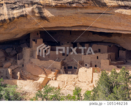 Sunny view of the historical Cliff Palace in Mesa Verde National Park Sunny view of the historical Cliff Palace in Mesa Verde National Park 105146216