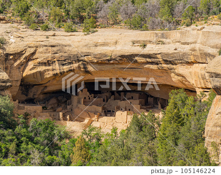 Sunny view of the historical Cliff Palace in Mesa Verde National Park 105146224