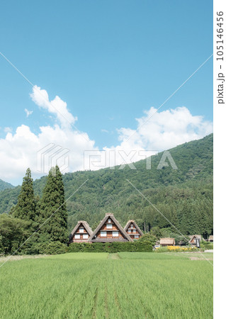 夏の白川郷 夏の白川郷 105146456