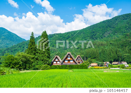 夏の白川郷 夏の白川郷 105146457