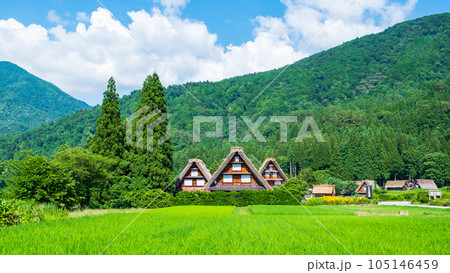 夏の白川郷 105146459
