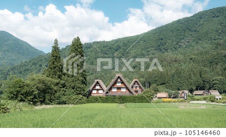 夏の白川郷 105146460