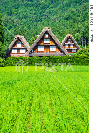 夏の白川郷 夏の白川郷 105146461