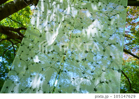夏の縁側・こもれびが透けるレースのカーテン 夏の縁側・こもれびが透けるレースのカーテン 105147629