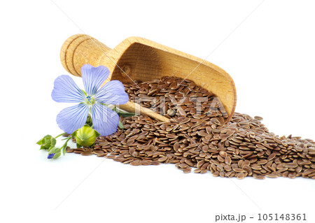 Blue flax blossom and seeds over white background 105148361