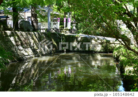 初夏の松平東照宮 松平の郷 初夏の松平東照宮 松平の郷 105148642