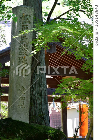 初夏の松平東照宮　松平の郷 105148643