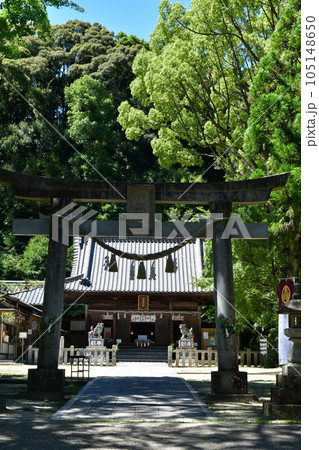 初夏の松平東照宮 松平の郷 初夏の松平東照宮 松平の郷 105148650
