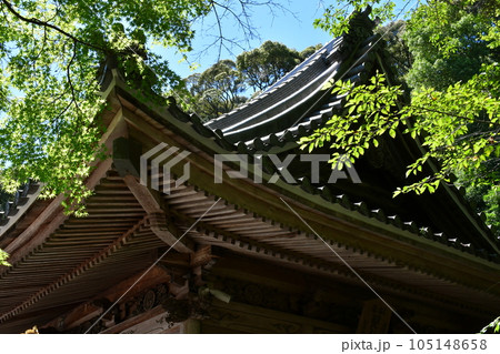 初夏の松平東照宮　松平の郷 105148658