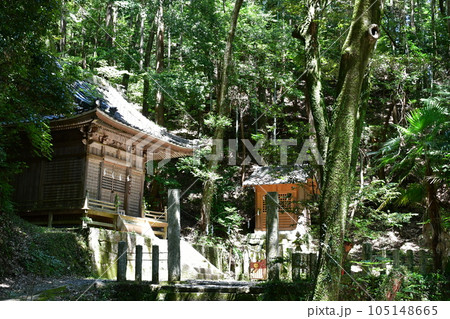初夏の松平東照宮　松平の郷 105148665