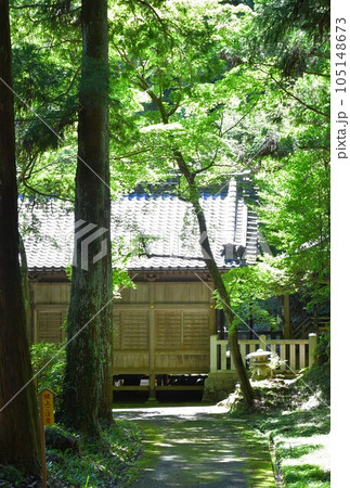 初夏の松平東照宮　松平の郷 105148673