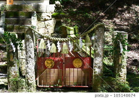 初夏の松平東照宮 松平の郷 初夏の松平東照宮 松平の郷 105148674