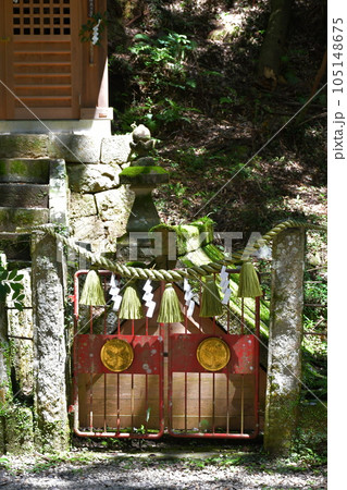初夏の松平東照宮 松平の郷 初夏の松平東照宮 松平の郷 105148675