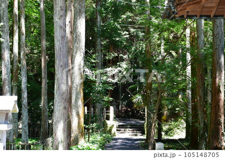 初夏の松平東照宮　松平の郷 105148705